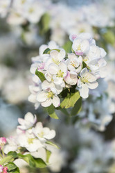 Similar image 21400245