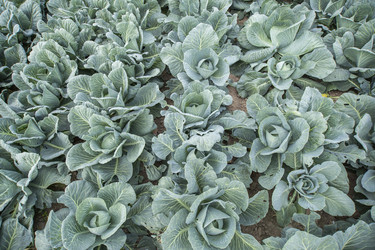 Similar image 21400246