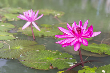 Similar image 21400248