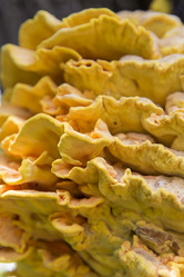 Similar image 21400249