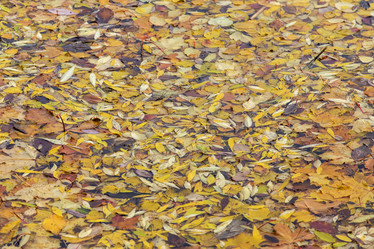 Similar image 21400250