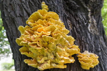 Similar image 21400251