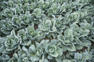 Similar image 21400252