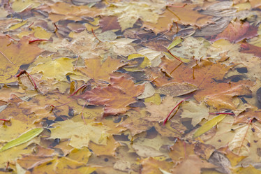 Similar image 21400254