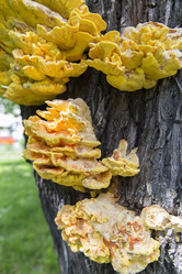 Similar image 21400255