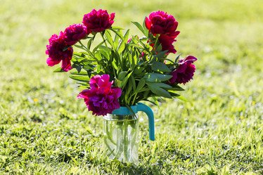 Similar image 21400259