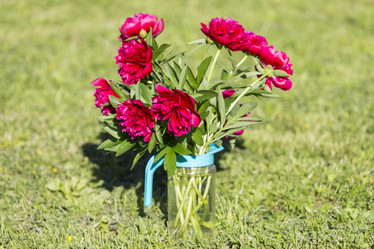 Similar image 21400261