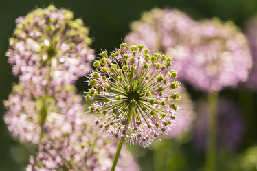 Similar image 21400263