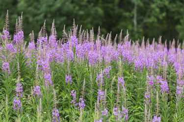 Similar image 21400265