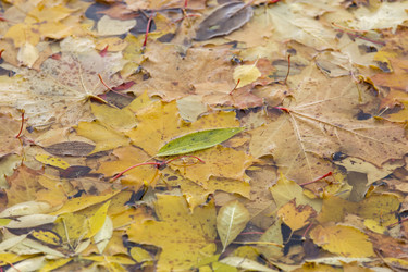 Similar image 21400266