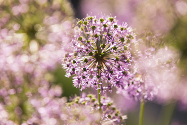 Similar image 21400267