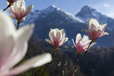 Similar image 21400268