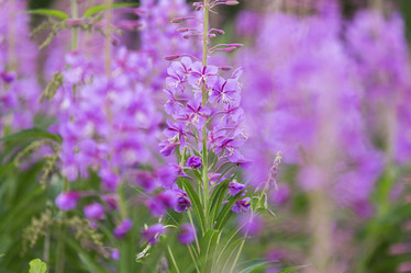 Similar image 21400269