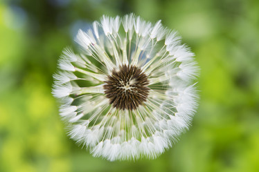 Similar image 21400270