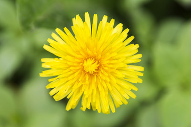 Similar image 21400272