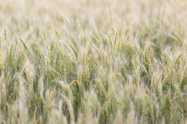 Similar image 21400273