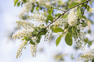 Similar image 21400274