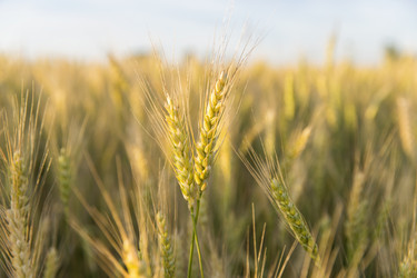 Similar image 21400275