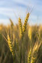 Similar image 21400276