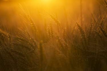 Similar image 21400277