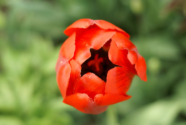 Similar image 21400278