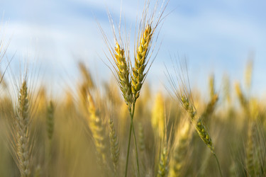 Similar image 21400279