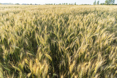 Similar image 21400280