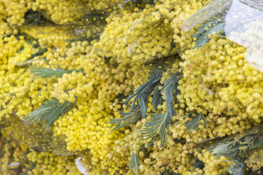 Similar image 21400281