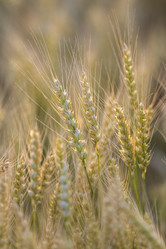 Similar image 21400021