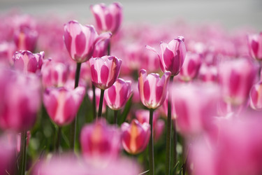 Similar image 21400022