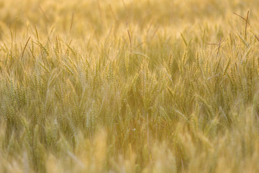 Similar image 21400023