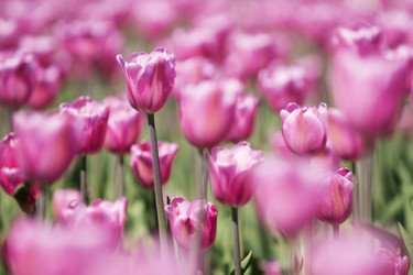 Similar image 21400024