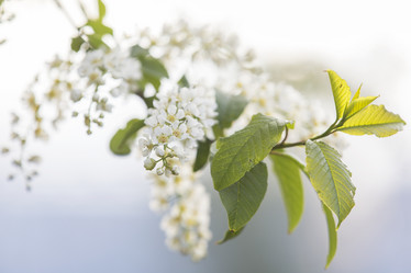 Similar image 21400026