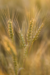 Similar image 21400027