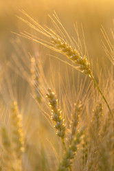 Similar image 21400029