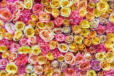 Similar image 21400030