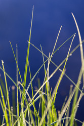 Similar image 21400031