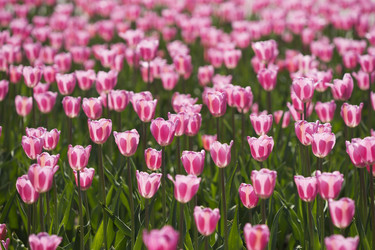 Similar image 21400032