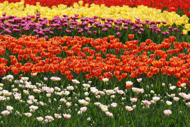 Similar image 21400033