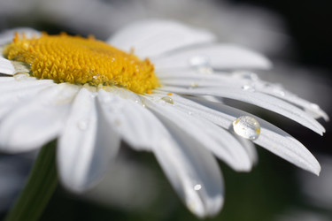 Similar image 21400034