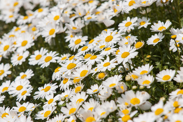 Similar image 21400035