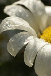 Similar image 21400036