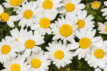 Similar image 21400037