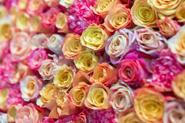 Similar image 21400038