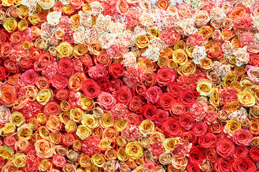 Similar image 21400040