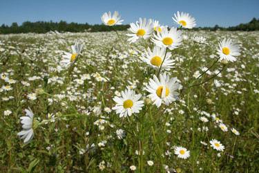 Similar image 21400042