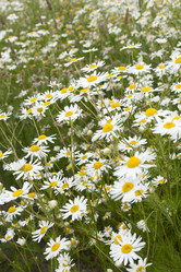 Similar image 21400043