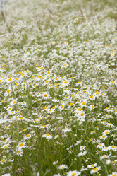 Similar image 21400044