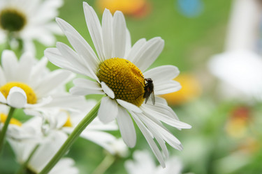 Similar image 21400045