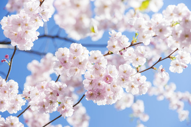 Similar image 21400047